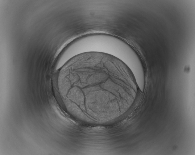 X0000113950108200911061312