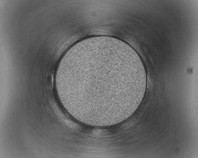 X0000113950109200911061312
