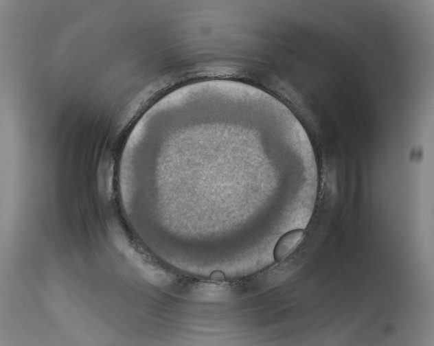 X0000113950110200911061312