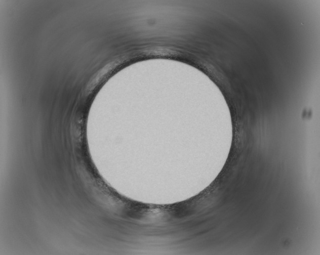 X0000113950111200911061312