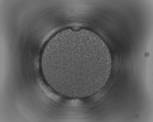 X0000113950112200911061312