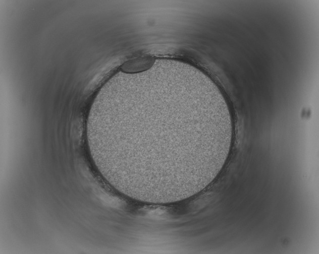 X0000113950113200911061312