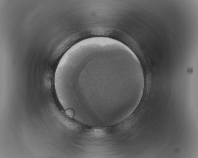 X0000113950114200911061312