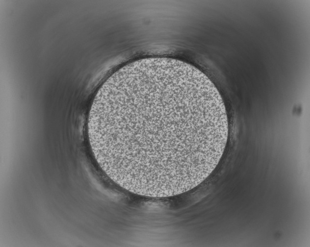 X0000113950115200911061312
