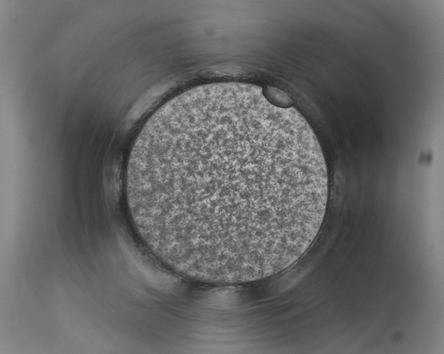 X0000113950116200911061312