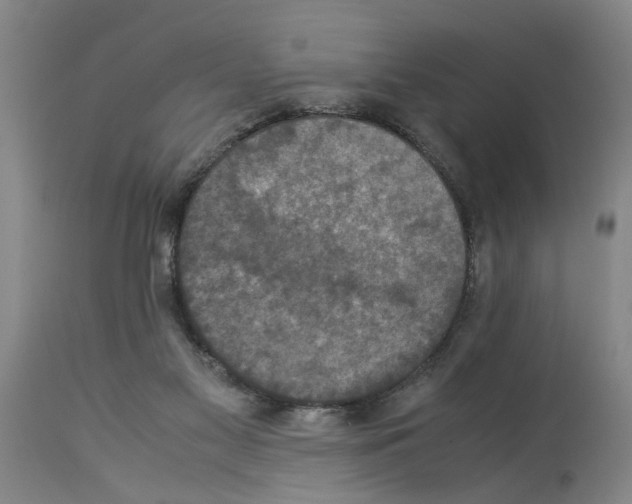 X0000113950117200911061312