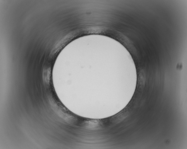 X0000113950118200911061312