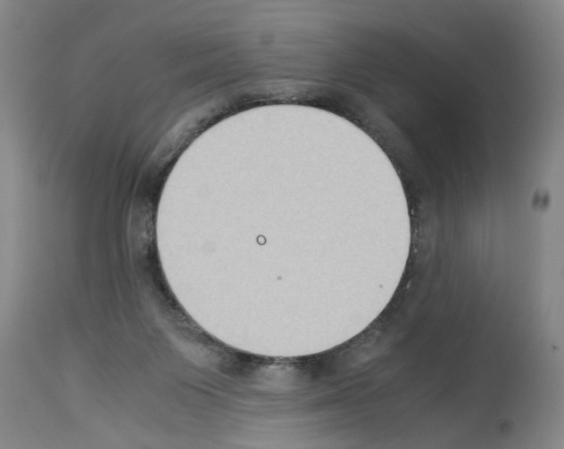 X0000113950119200911061312