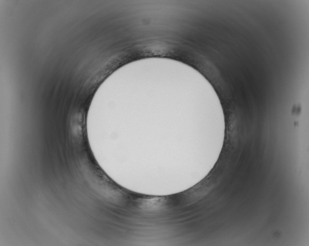 X0000113950122200911061312