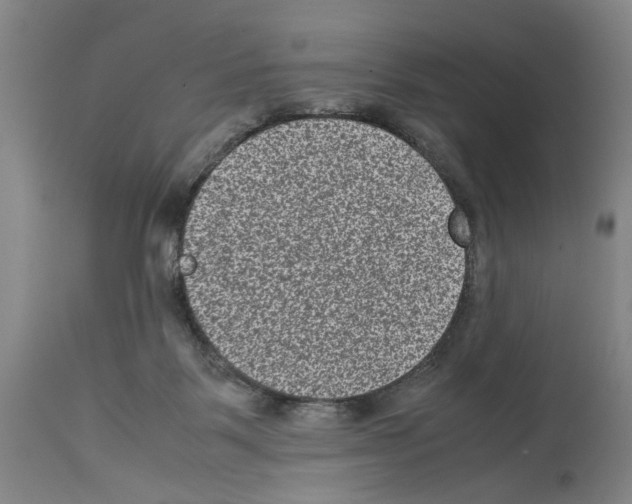 X0000113950123200911061312