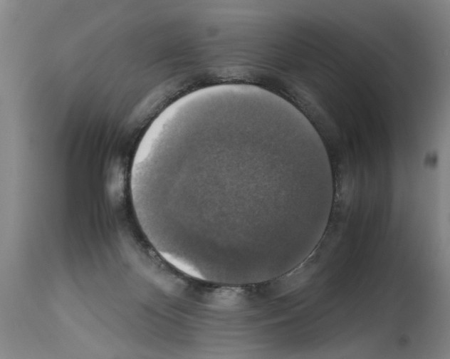 X0000113950124200911061312
