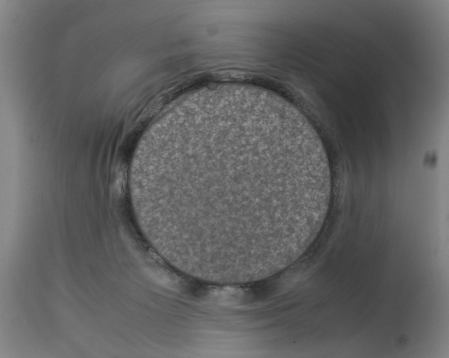 X0000113950125200911061312