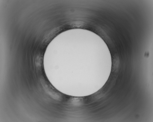 X0000113950126200911061312