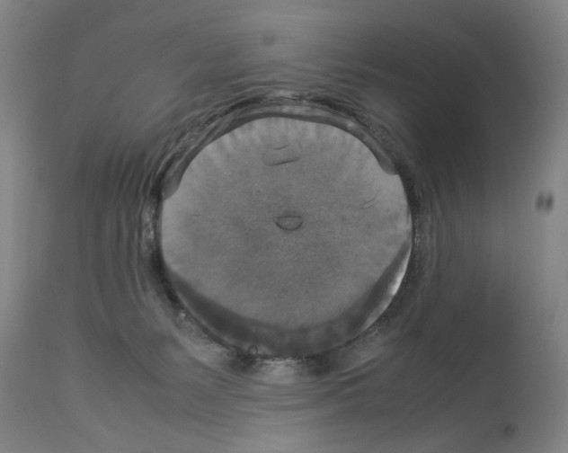 X0000113950127200911061312