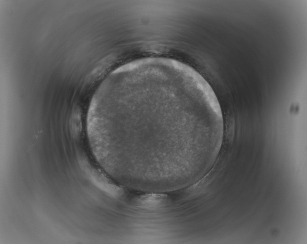 X0000113950128200911061312
