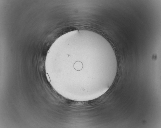 X0000113950129200911061312