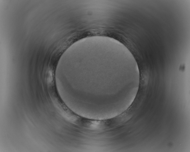 X0000113950130200911061312