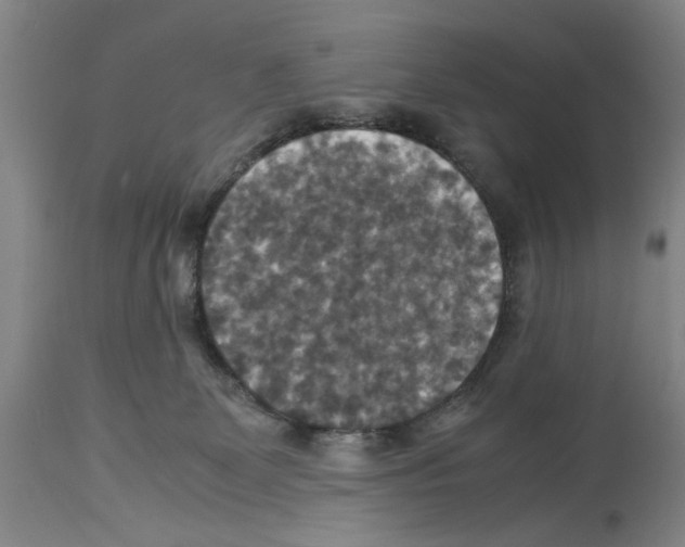 X0000113950131200911061312