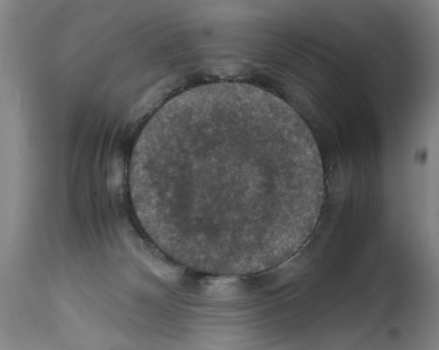 X0000113950132200911061312
