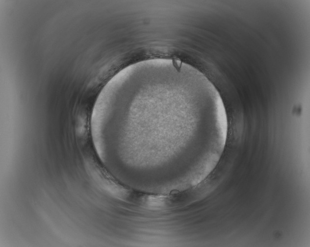 X0000113950134200911061312