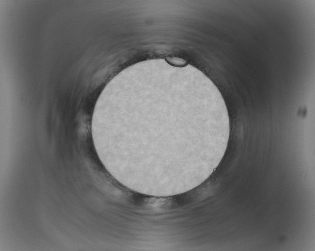 X0000113950135200911061312