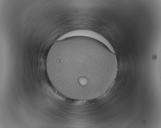 X0000113950136200911061312