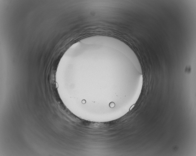 X0000113950137200911061312