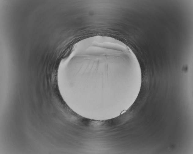 X0000113950139200911061312