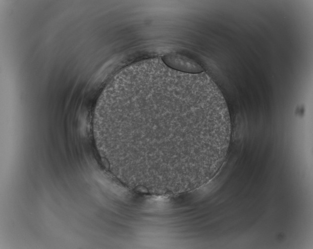 X0000113950140200911061312