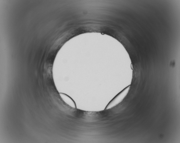 X0000113950141200911061312