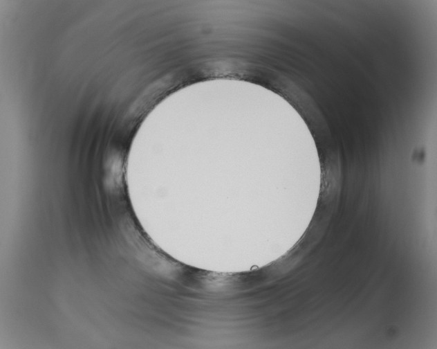 X0000113950142200911061312