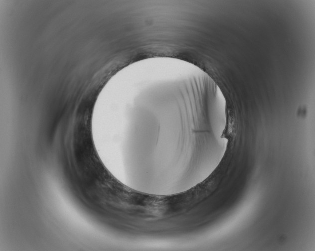 X0000113950143200911061312
