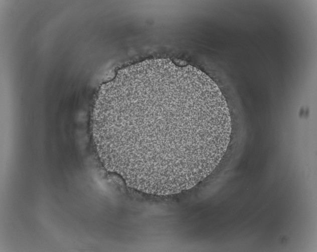 X0000113950144200911061312