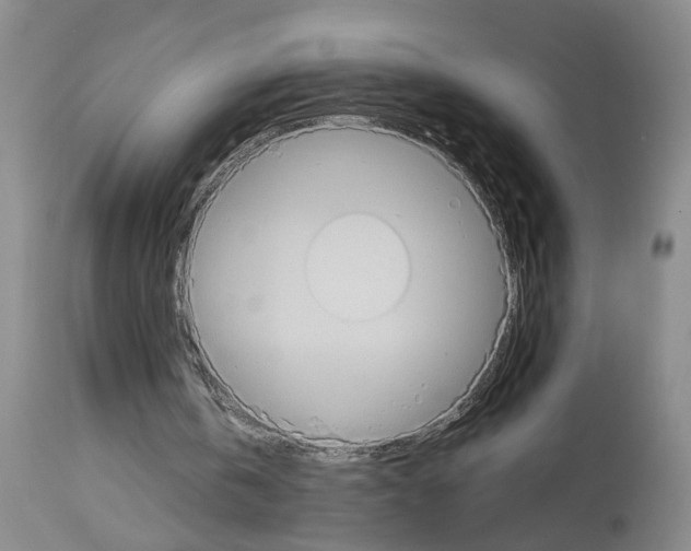 X0000113950146200911061311