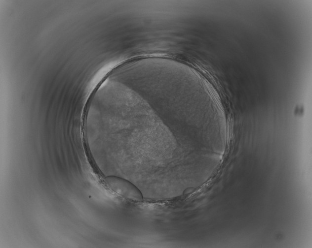 X0000113950147200911061311
