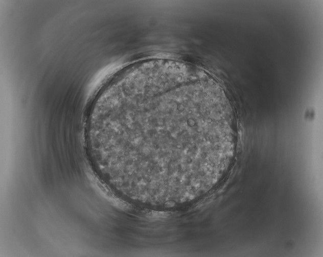 X0000113950149200911061311