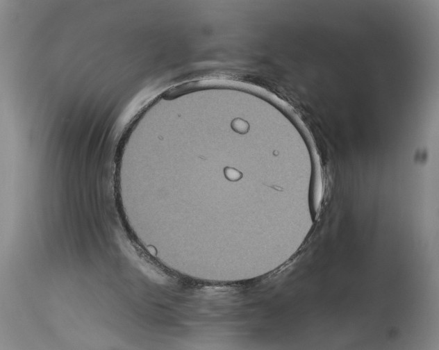 X0000113950150200911061311