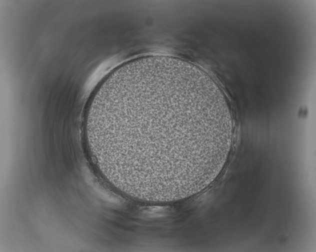 X0000113950151200911061311