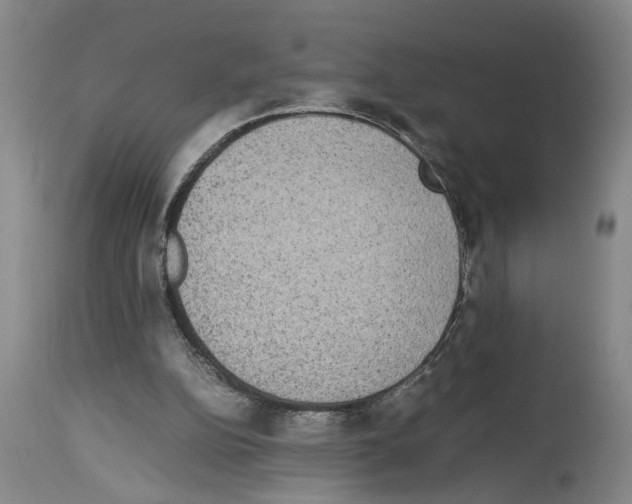 X0000113950152200911061311