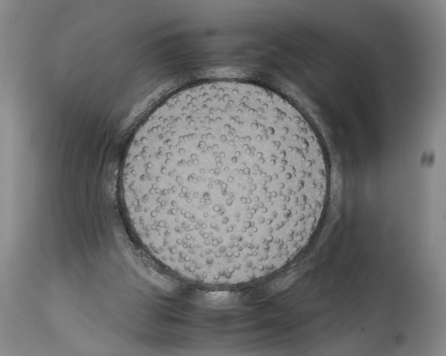 X0000113950153200911061311