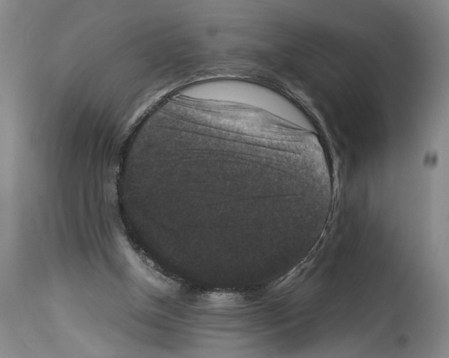 X0000113950154200911061311