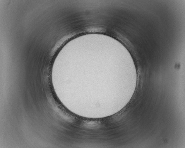 X0000113950155200911061311