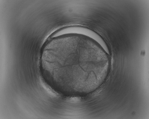 X0000113950156200911061311