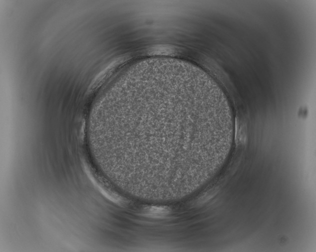 X0000113950157200911061311