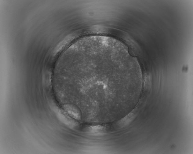 X0000113950158200911061311