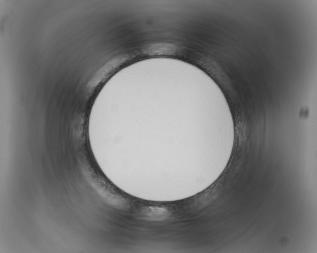 X0000113950159200911061311