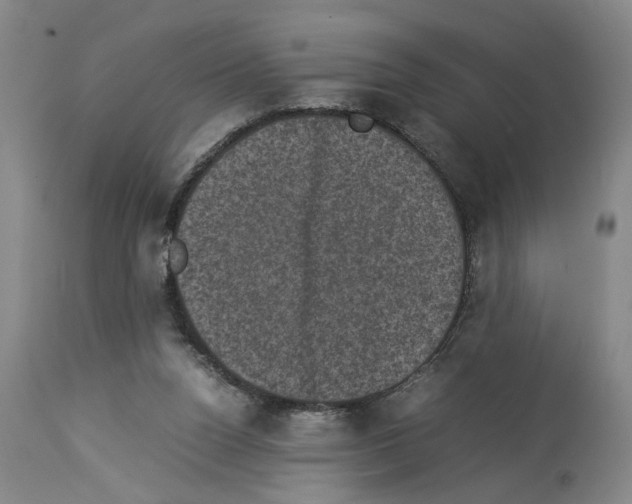 X0000113950160200911061311