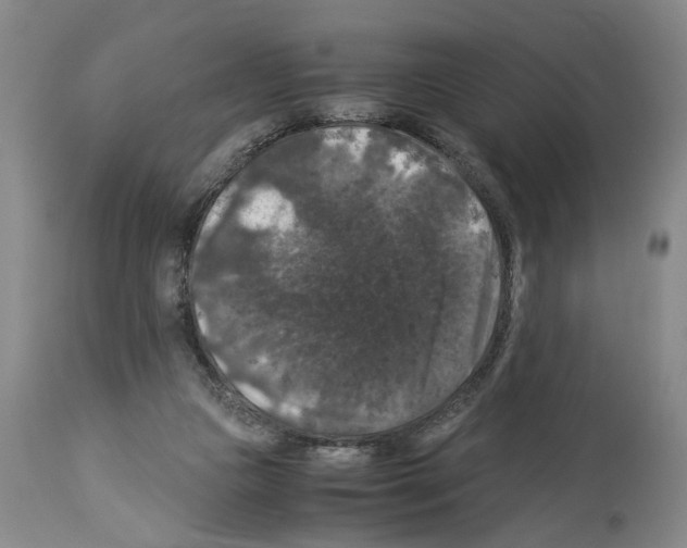 X0000113950161200911061311