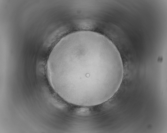 X0000113950162200911061311