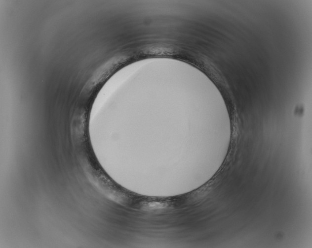 X0000113950163200911061311
